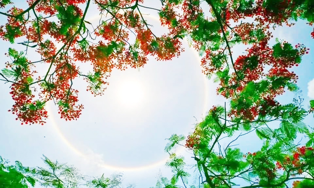 Chạm